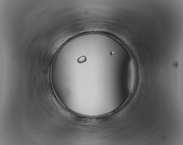 X0000111631273200907311218