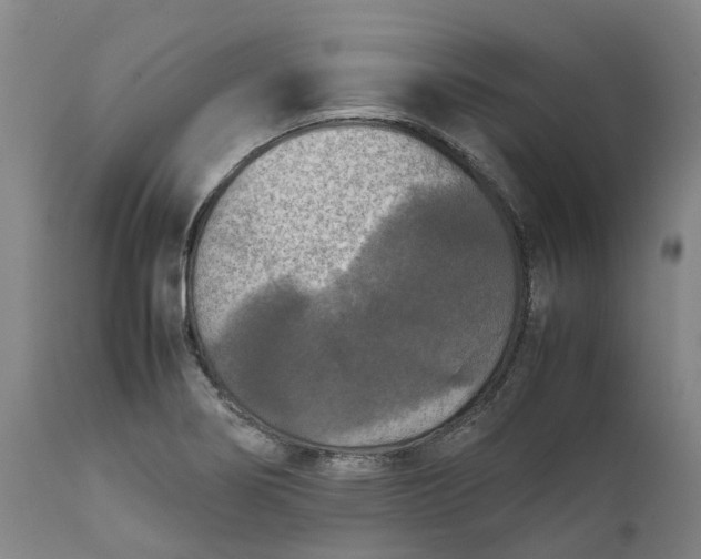 X0000111631274200907311218