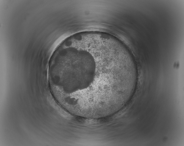 X0000111631275200907311218