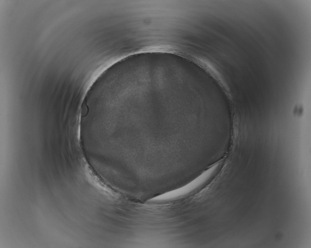 X0000111631276200907311218