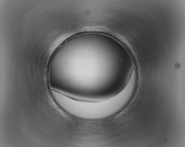 X0000111631277200907311218