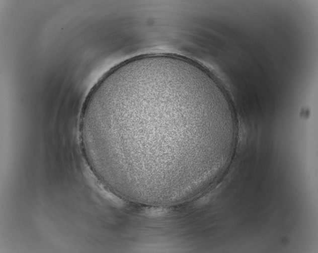 X0000111631278200907311218