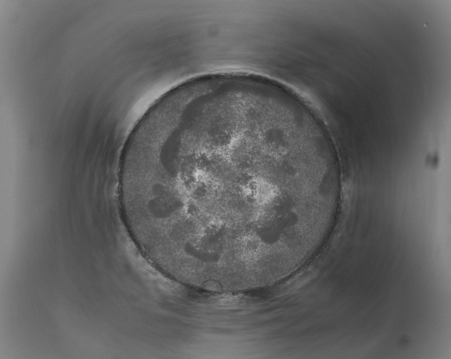 X0000111631279200907311218