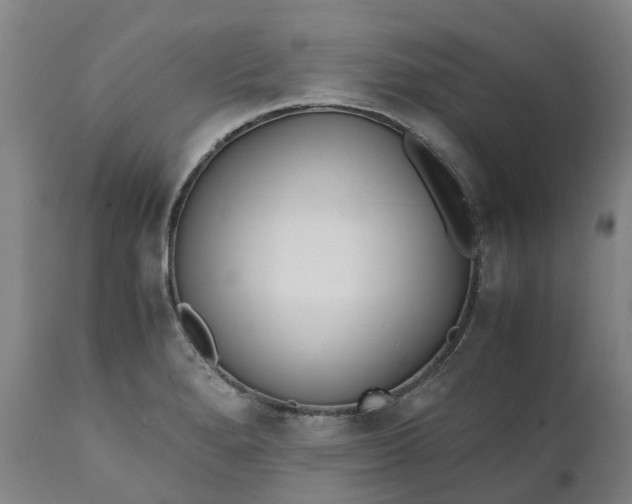 X0000111631280200907311218