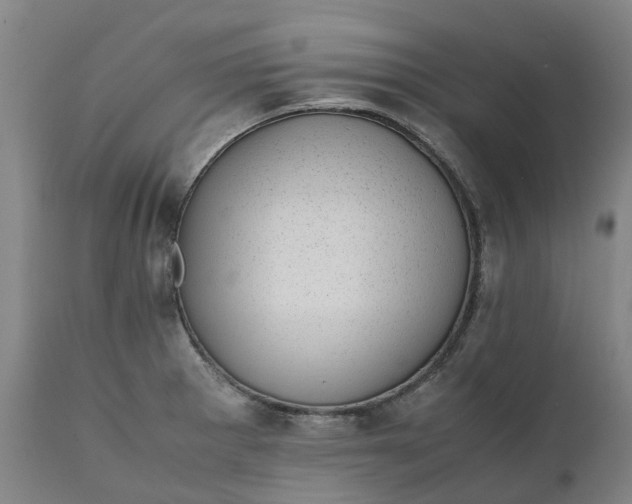 X0000111631281200907311218