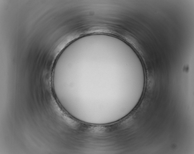 X0000111631282200907311218