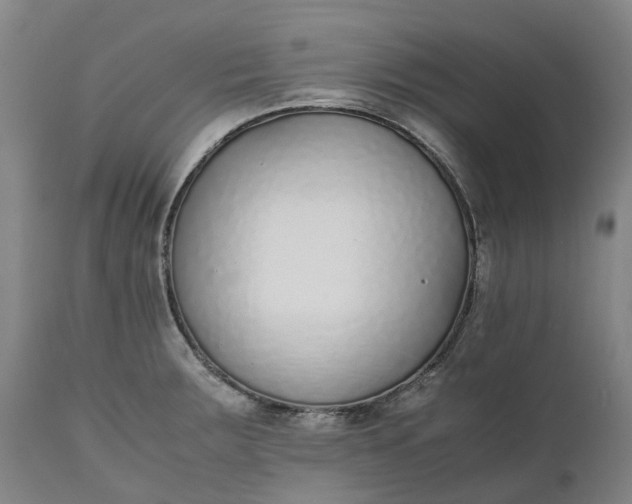 X0000111631283200907311218