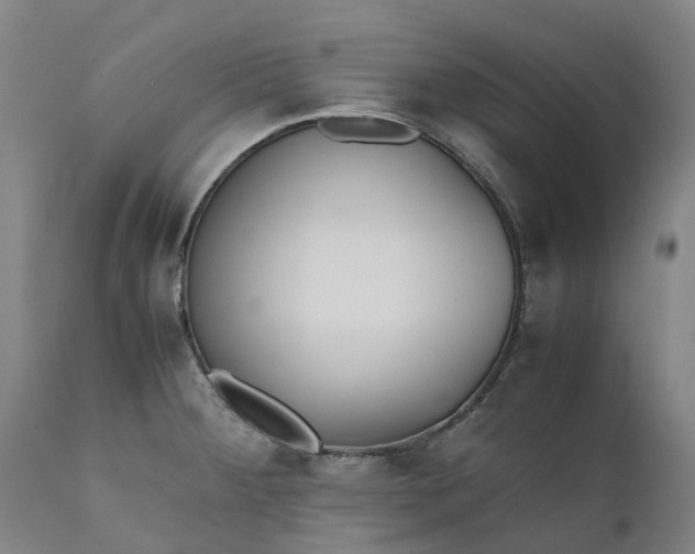 X0000111631284200907311218