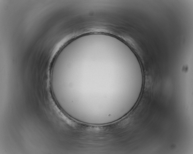 X0000111631286200907311218