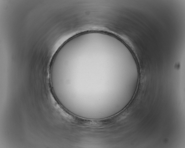 X0000111631287200907311218