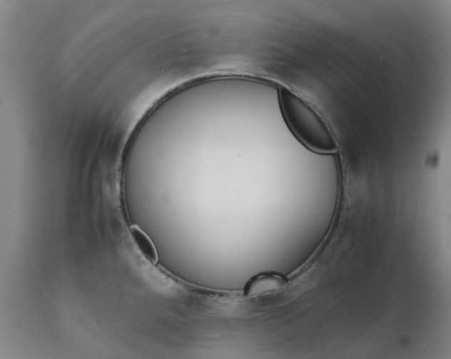 X0000111631288200907311218