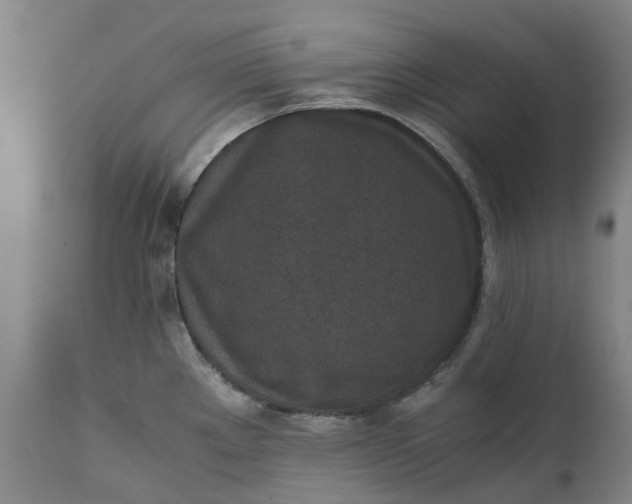 X0000111631289200907311218