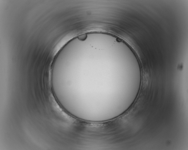 X0000111631290200907311218