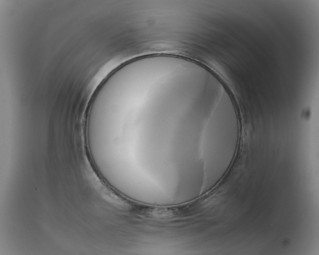 X0000111631291200907311218