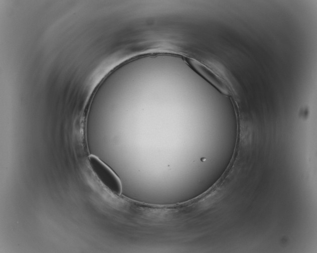 X0000111631292200907311218