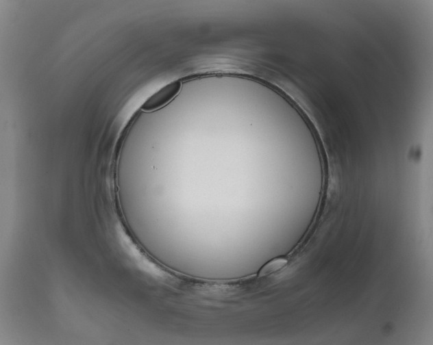 X0000111631293200907311218