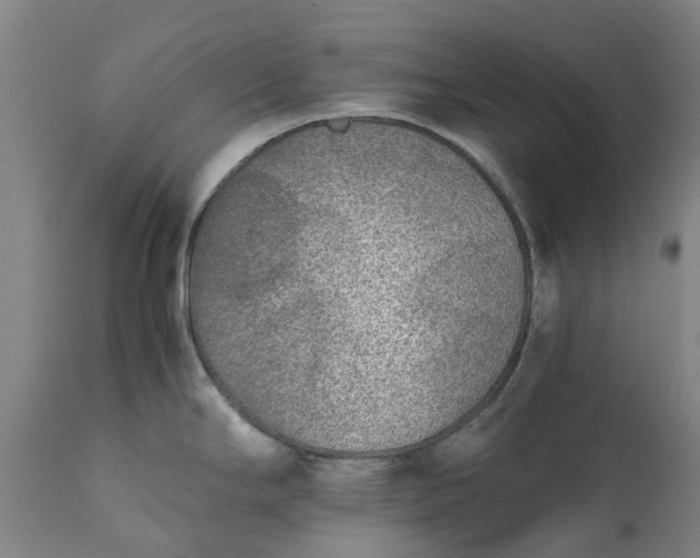 X0000111631294200907311218