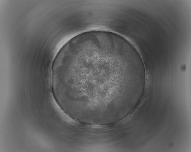 X0000111631295200907311218