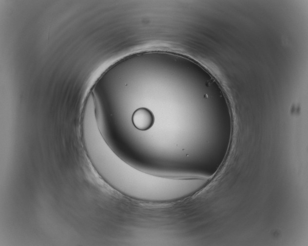 X0000111631296200907311218