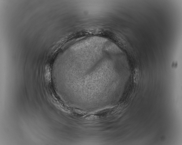 X0000111631298200907311217