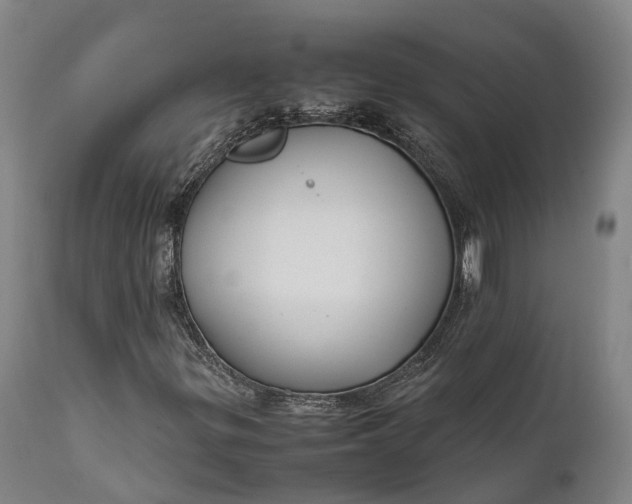 X0000111631299200907311217