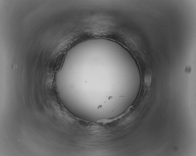 X0000111631300200907311217