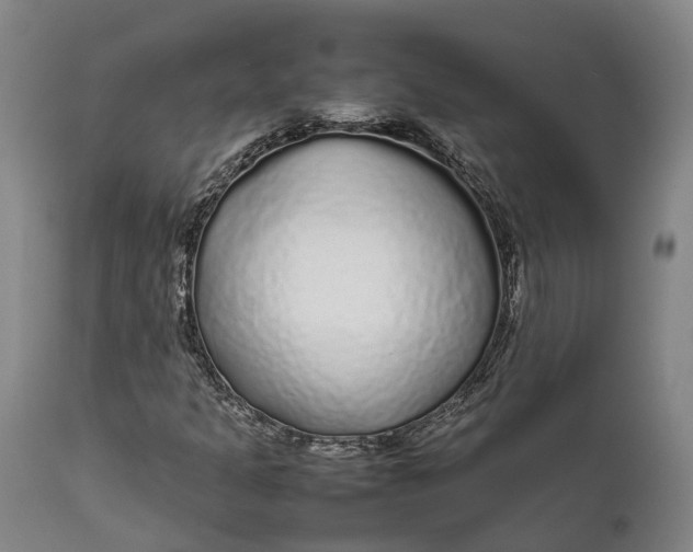 X0000111631301200907311217