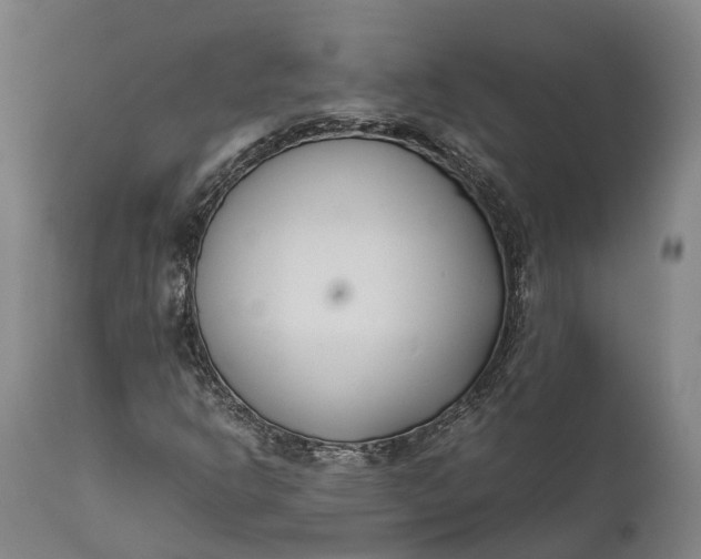 X0000111631302200907311217