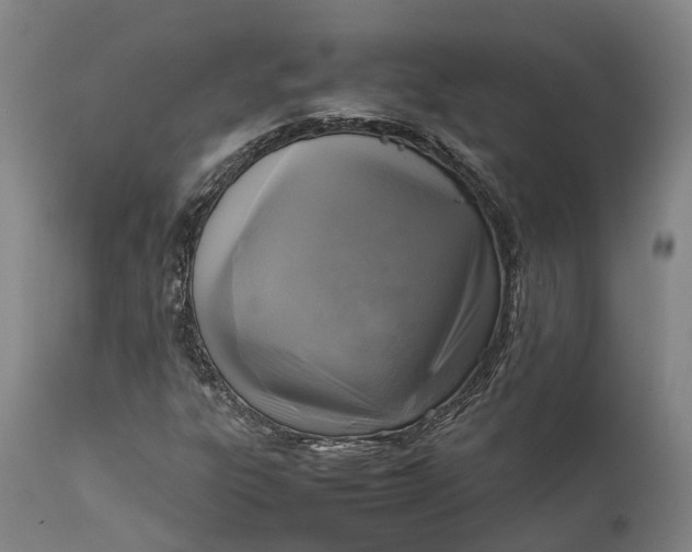 X0000111631303200907311217