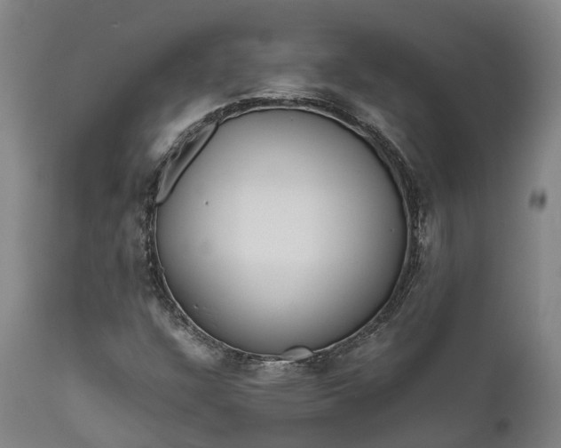 X0000111631304200907311217