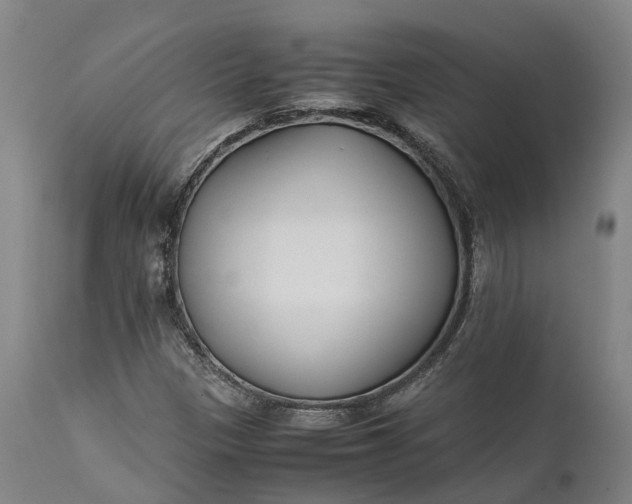 X0000111631305200907311217