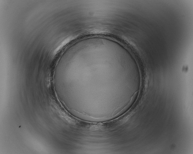 X0000111631306200907311217