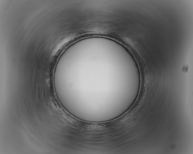 X0000111631307200907311217