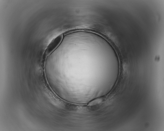 X0000111631308200907311217