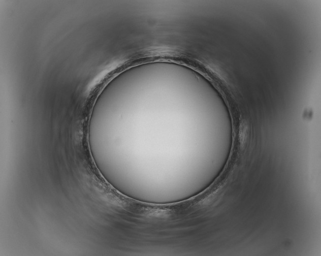 X0000111631309200907311217