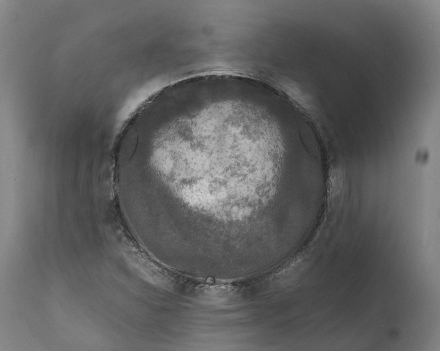 X0000111631310200907311217