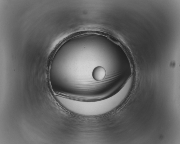 X0000111631312200907311217