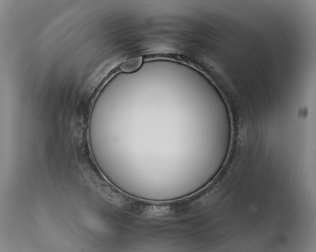 X0000111631313200907311217