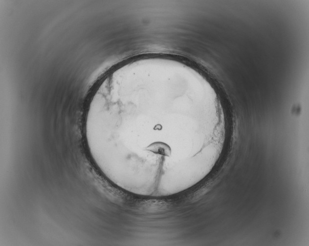 X0000111631314200907311217