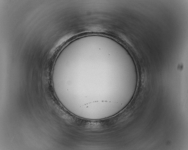 X0000111631315200907311217