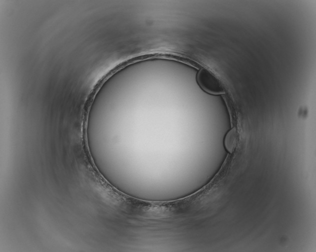 X0000111631316200907311217