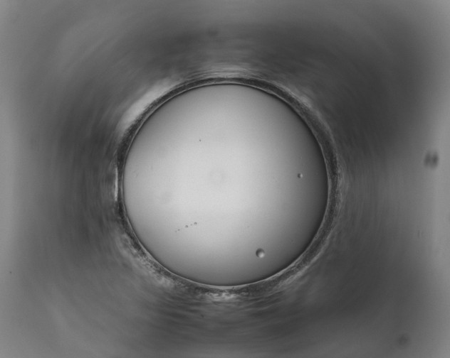 X0000111631317200907311217