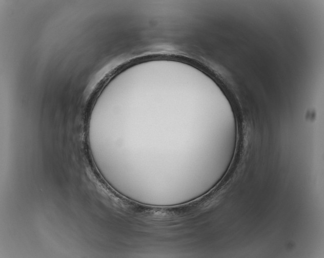 X0000111631318200907311217