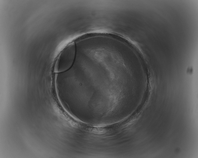 X0000111631319200907311217