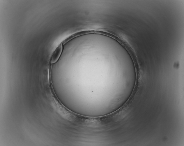 X0000111631320200907311217