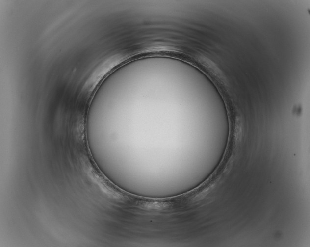 X0000111631321200907311217