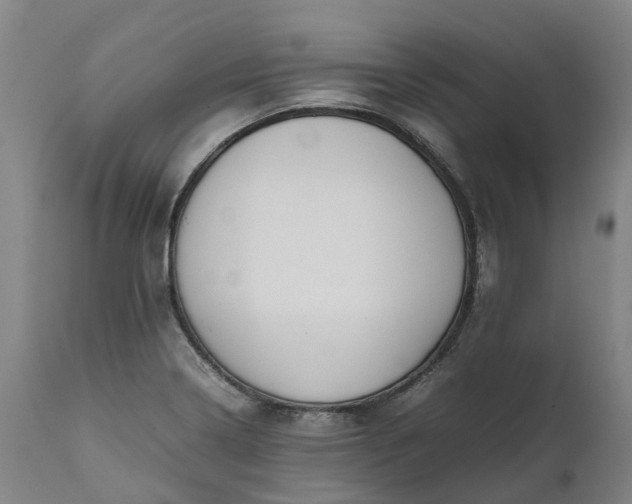 X0000111631322200907311217