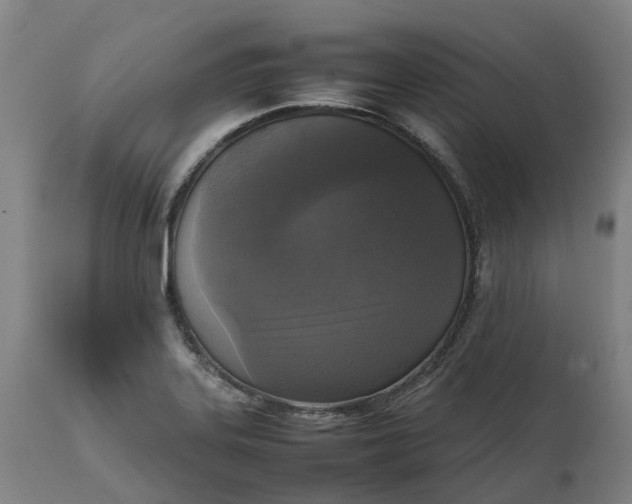 X0000111631323200907311217