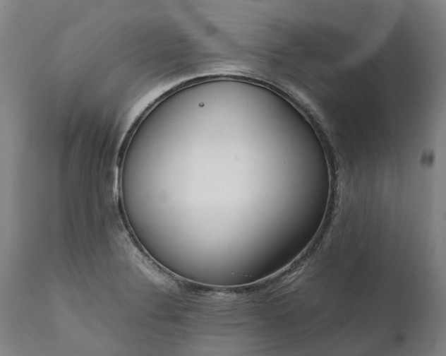 X0000111631324200907311217