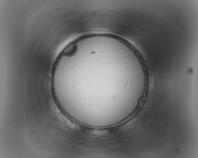 X0000111631325200907311217